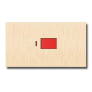 Electrical Switch