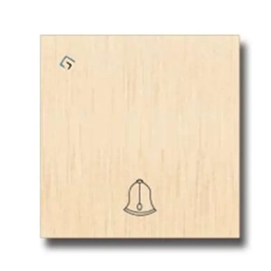 Electrical Switch