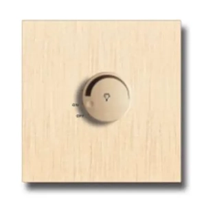 Electrical Switch