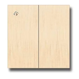 Electrical Switch