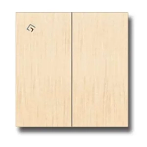 Electrical Switch