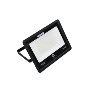 Flood Light