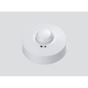 Occupant Sensor