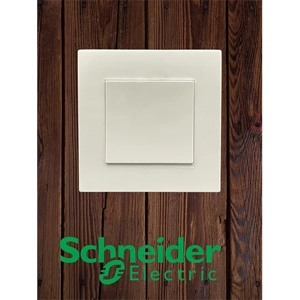Electrical Outlet Plate