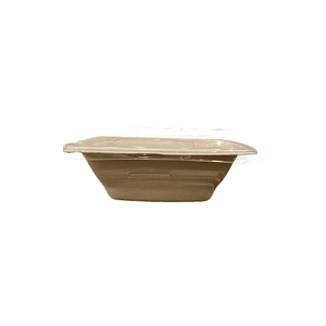 Disposable Dishes