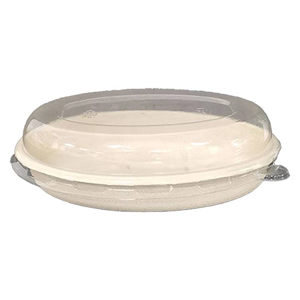 Disposable Food Container