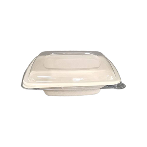 Disposable Food Container