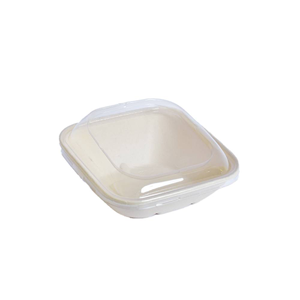 Disposable Plate