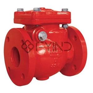 Globe Valve