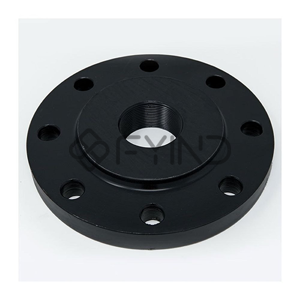 Pipe Flange
