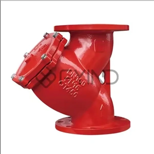 Y Strainer