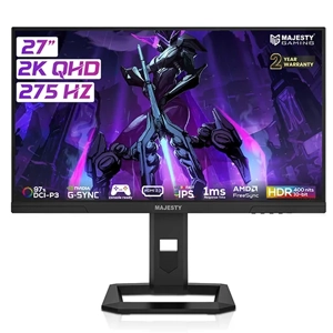 Computer Monitor