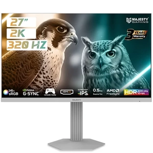 Computer Monitor