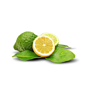 Fragrance Oil