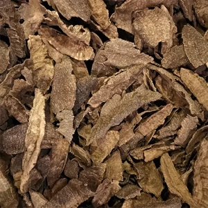 Wood Chip