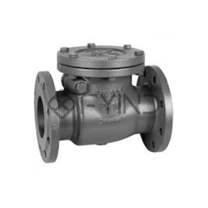 Check Valve