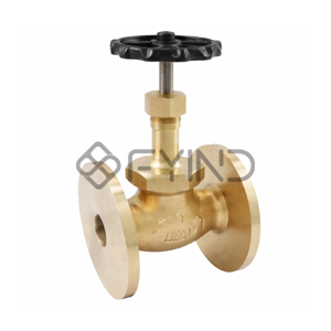 Globe Valve