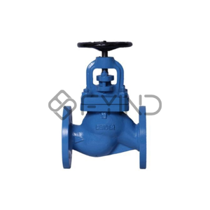 Globe Valve