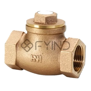 Check Valve