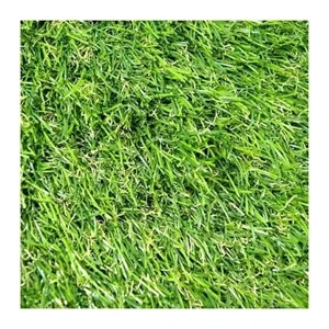 Artificial Turf