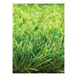 Artificial Turf