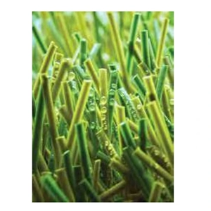 Artificial Turf