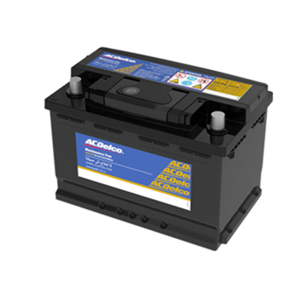 Vehicle Battery