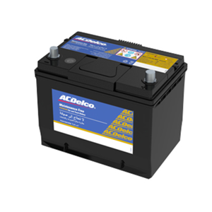 Vehicle Battery