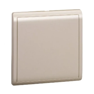 Electrical Outlet Plate