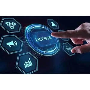 Computer Software Licensing Service