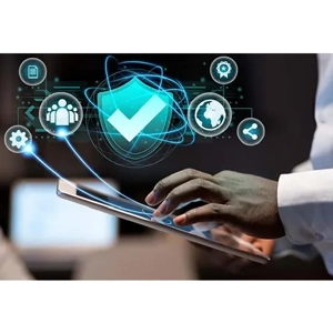 Information Technology Consultation Service