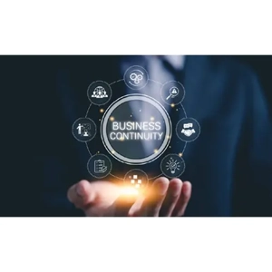 Strategic Planning Consultation Service