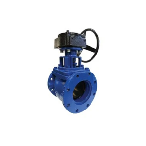 Plug Valve