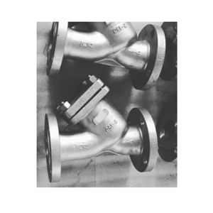 Y Strainer