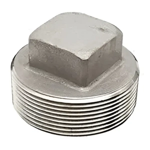 Pipe Plug