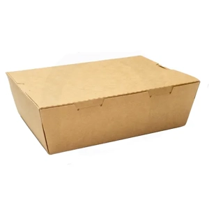 Disposable Food Container