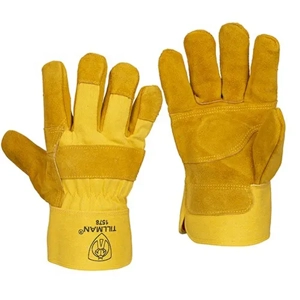 Protective Glove