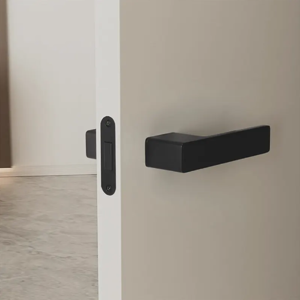 Door Handle