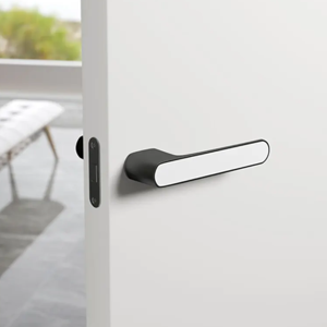 Door Handle
