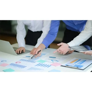 Comprehensive Project Management Service