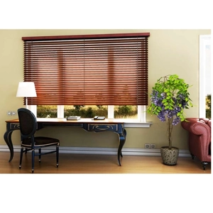 Venetian Blind