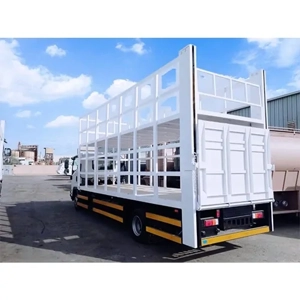 Cargo Truck
