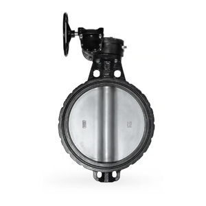 Butterfly Valve