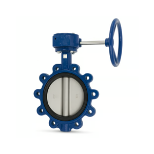 Butterfly Valve