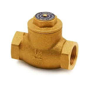 Check Valve