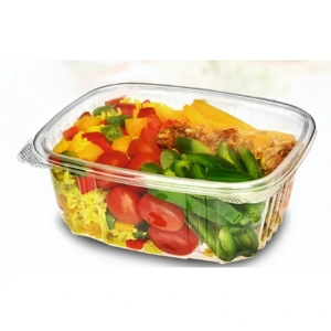 Disposable Food Container