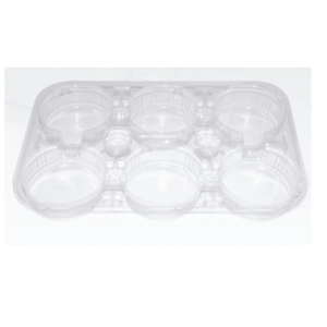 Disposable Food Tray