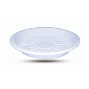 Disposable Plate