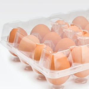 Egg Tray