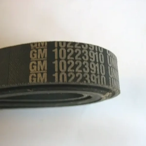 V Belt